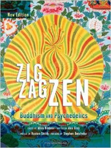 חוקר את הצומת בין פסיכדליה לבודהיזם ומדיטציה. הספר זיג זג זן